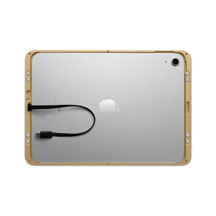 Displine Displine Dame Wall 2.0 Wandhouder voor iPad Pro 11" (M4/M5) Goud