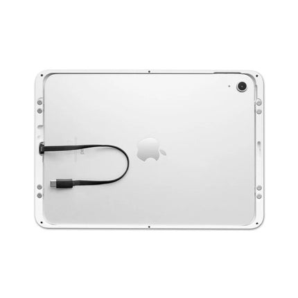 Displine Displine Dame Wall 2.0 Wandhouder voor iPad Pro 11" (M4/M5) Wit